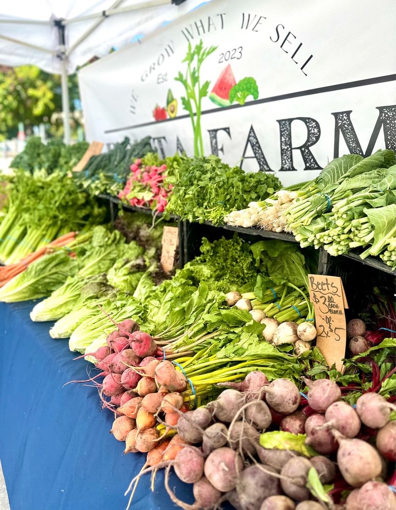 Harvest Farmer's Market