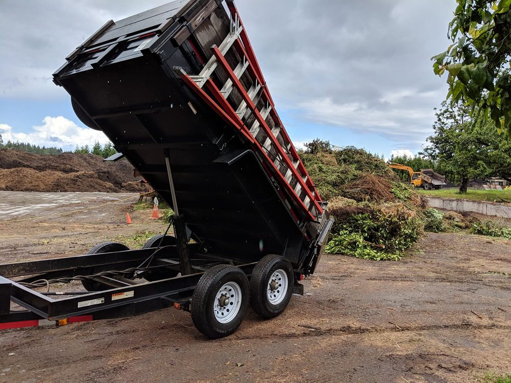 Bizy Boys Lawn and Yard Care