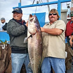 Redondo Beach Sportfishing - 72 Photos & 68 Reviews ...