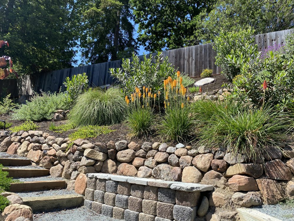 Rafael's Landscaping