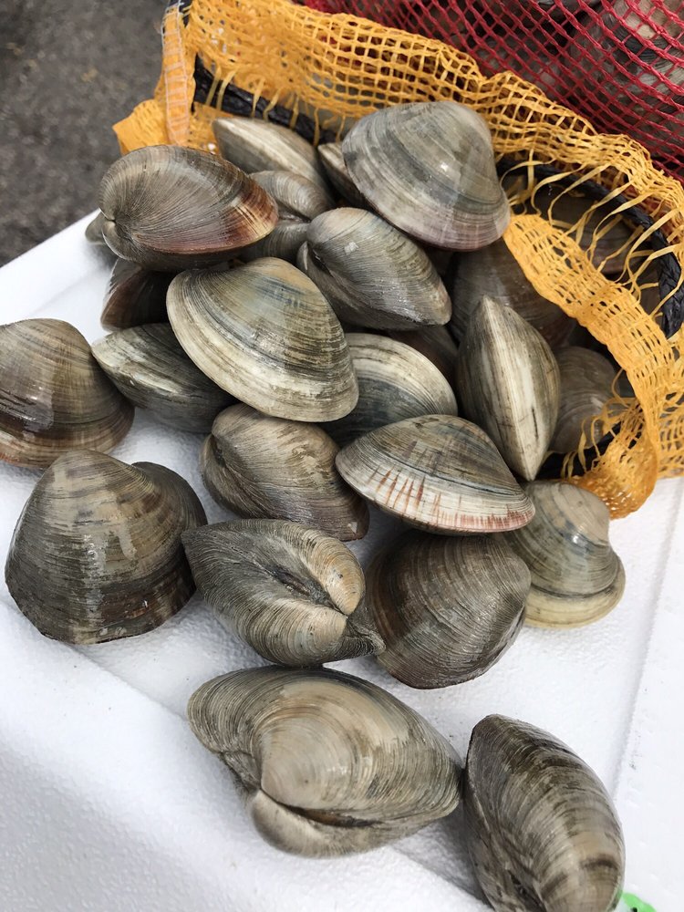 Beach ‘N Seafood 17 Photos Seafood Markets 3640 Dam Neck Rd