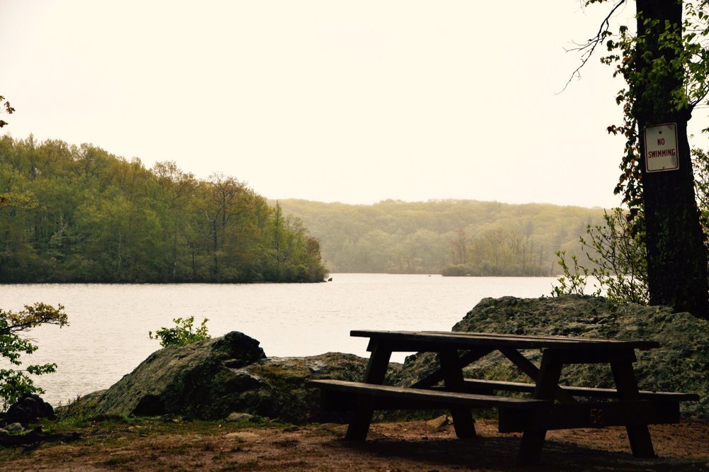 Lincoln Woods State Park 112 Photos & 59 Reviews Parks Breakneck