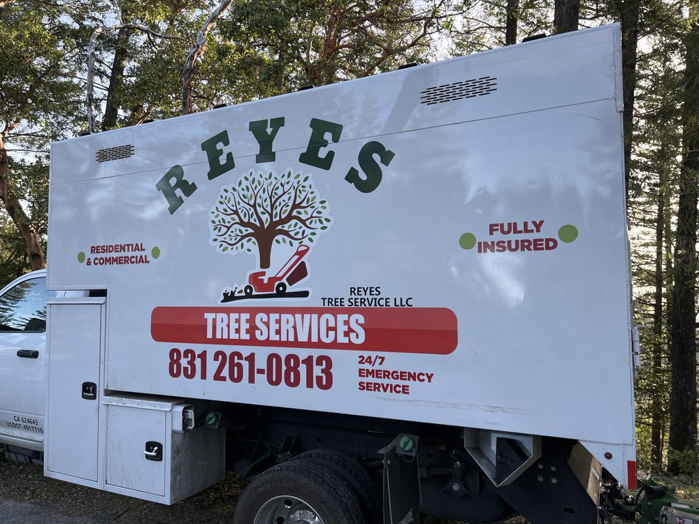 Reyes Tree Service