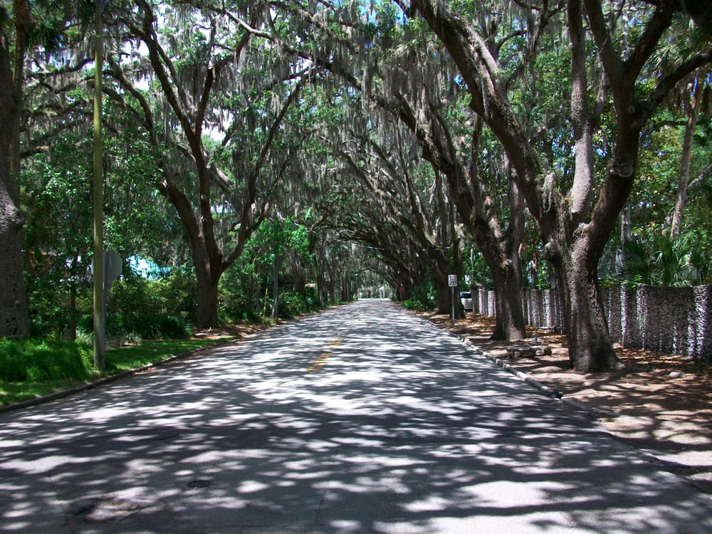 Magnolia Street Local Flavor Magnolia St, St. Augustine, FL Yelp