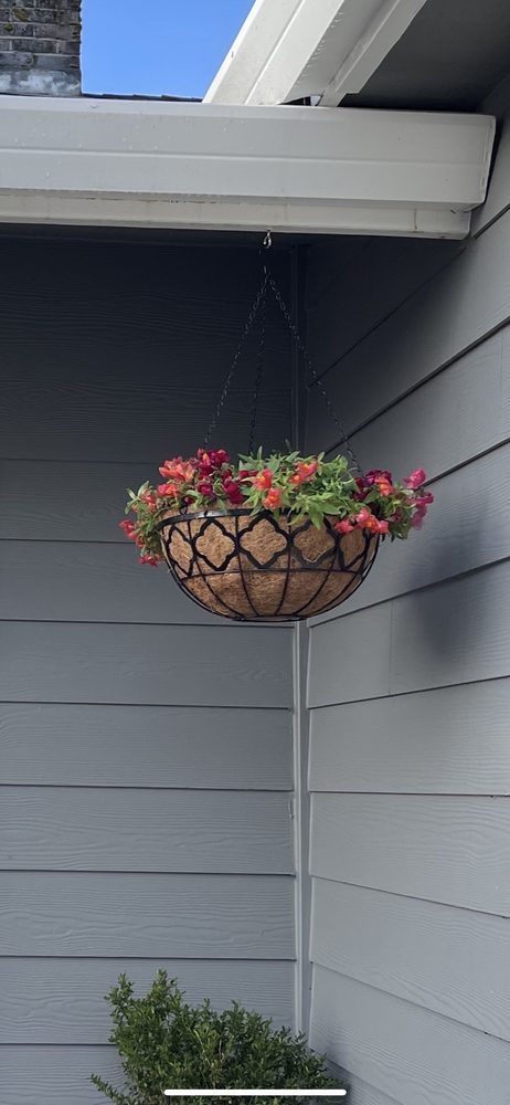 Chapman's Greenhouse