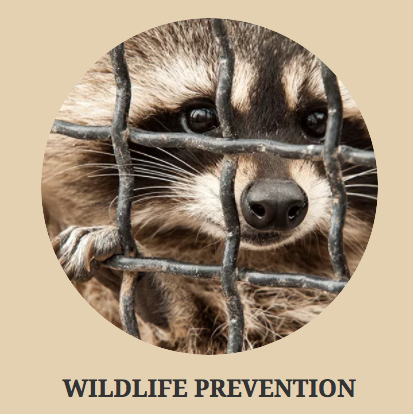 Triad Wildlife Experts