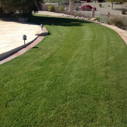 pro turf landscape