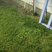 Budget Lawn Care 25 Reviews Landscaping 1301 Summit Budget Lawn Care 25 Reviews Landscaping 1301 Summit