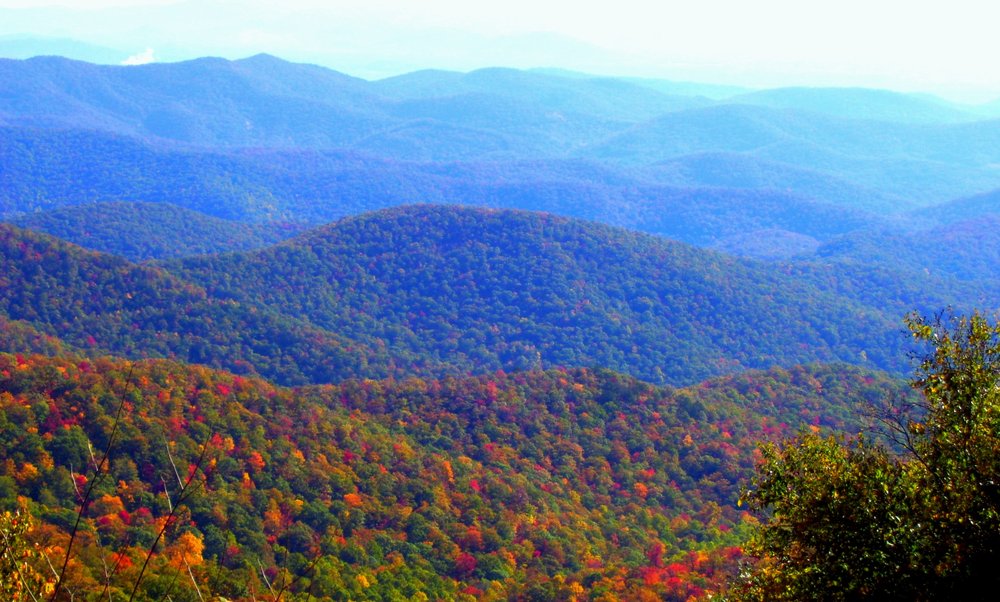 Jackson J D Associates