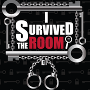 I Survived The Room - Long Island City, NY - 4711 Van Dam St ...