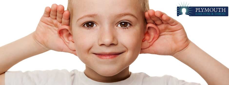 image of business Plymouth Ears Nose & Throat