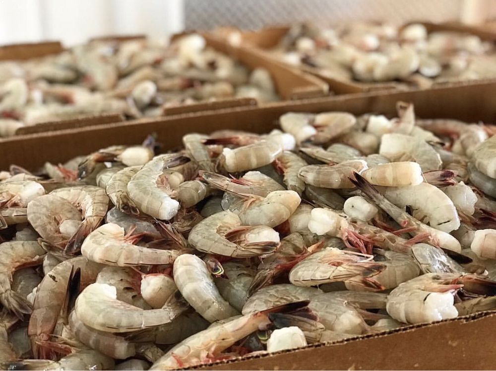 King’s Seafood 23 Photos & 13 Reviews Seafood Markets 79