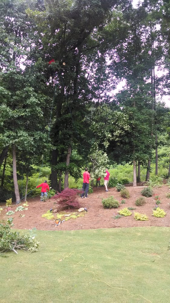 Atlanta Tree Arbors, Inc. 10 Reviews Tree Services 6595G Roswell