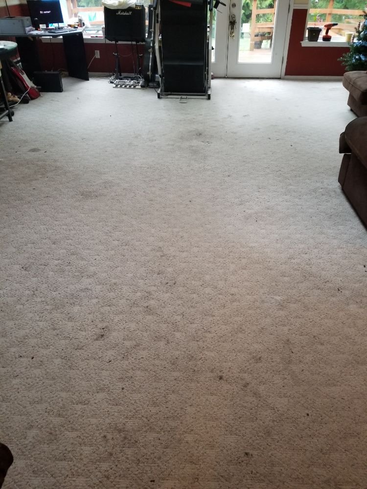 NW Pacific Green Carpet Cleaning