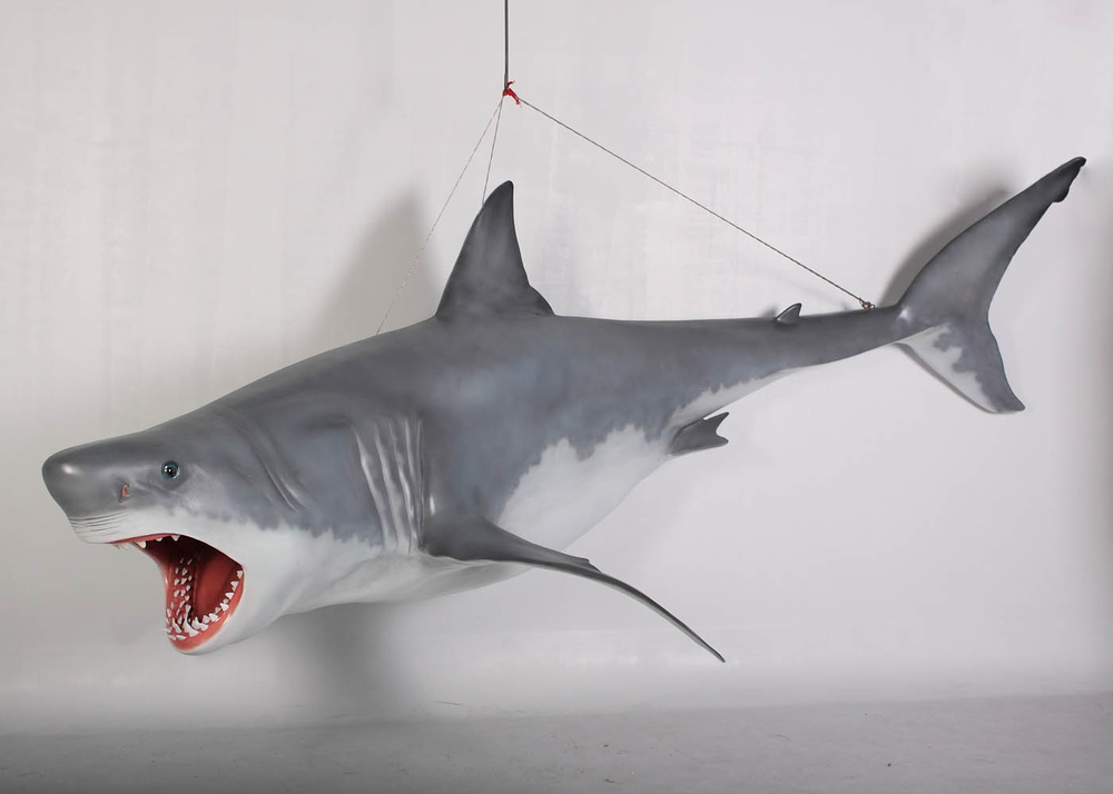 Bruce Museum