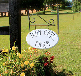 Faith's Corner By Cassie