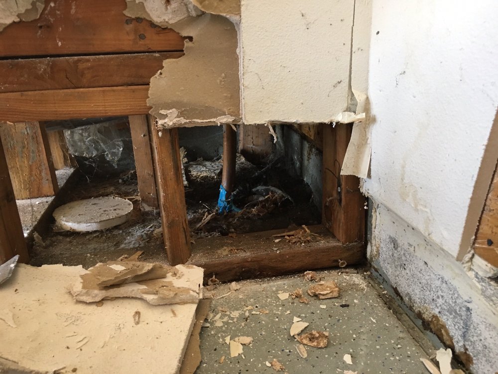 image of business H2O Restoration