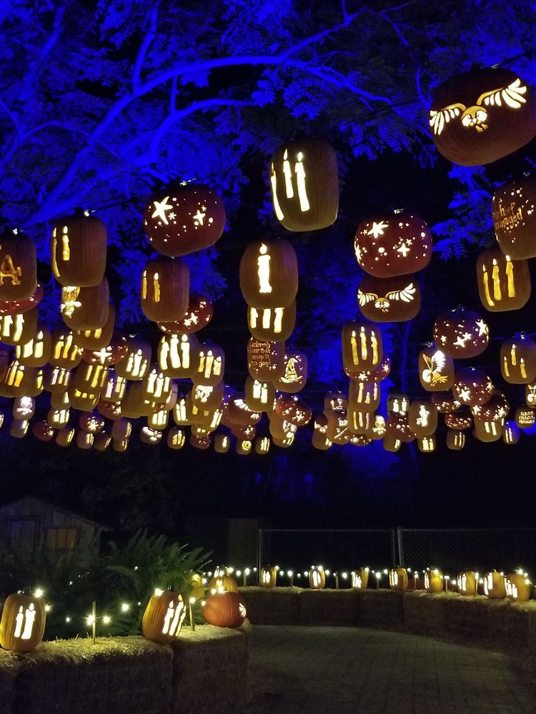 Pumpkin Nights