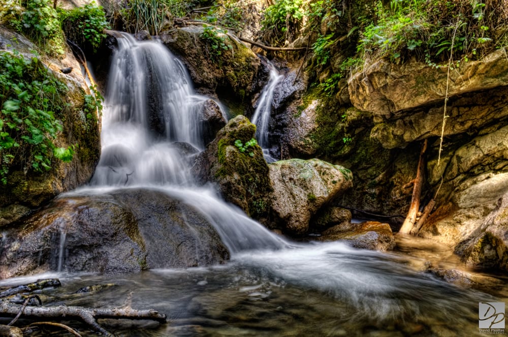 Limekiln Beach State Park 184 Photos & 88 Reviews Campgrounds