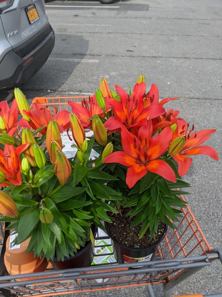 The Home Depot