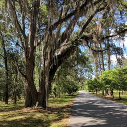 Top 10 Best Fun Things To Do In Albany Ga Last Updated May 2019 Chehaw Park