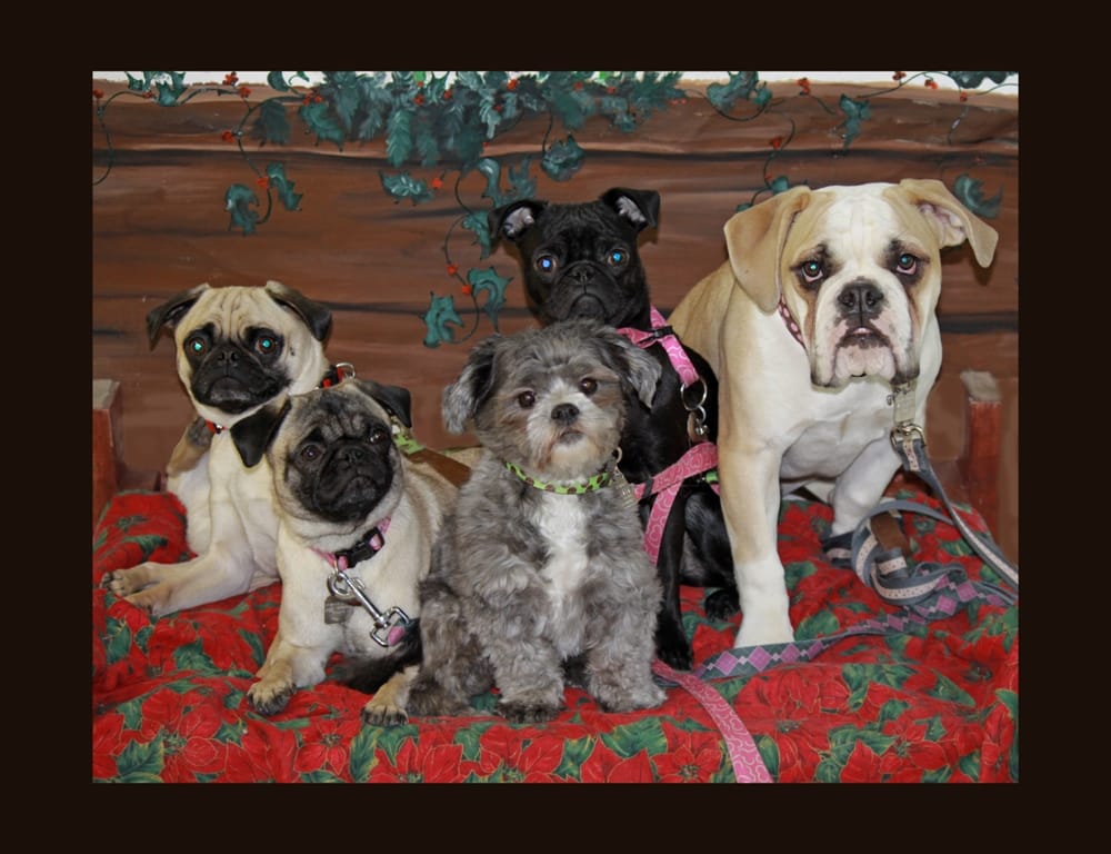 Wildsands Petcare