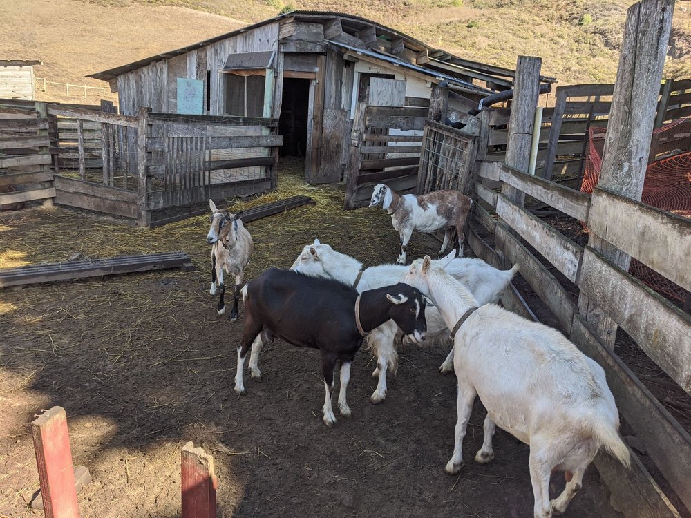 Slide Ranch