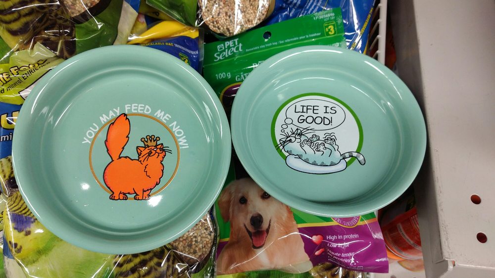 pet select cat food dollarama