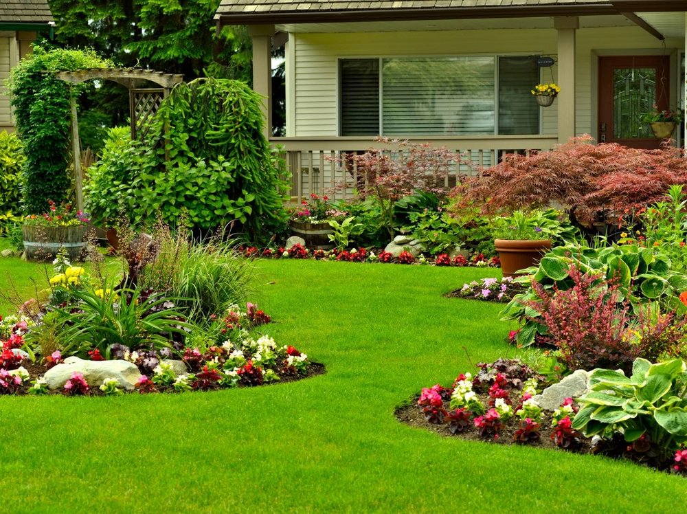 Willow Glen Gardening