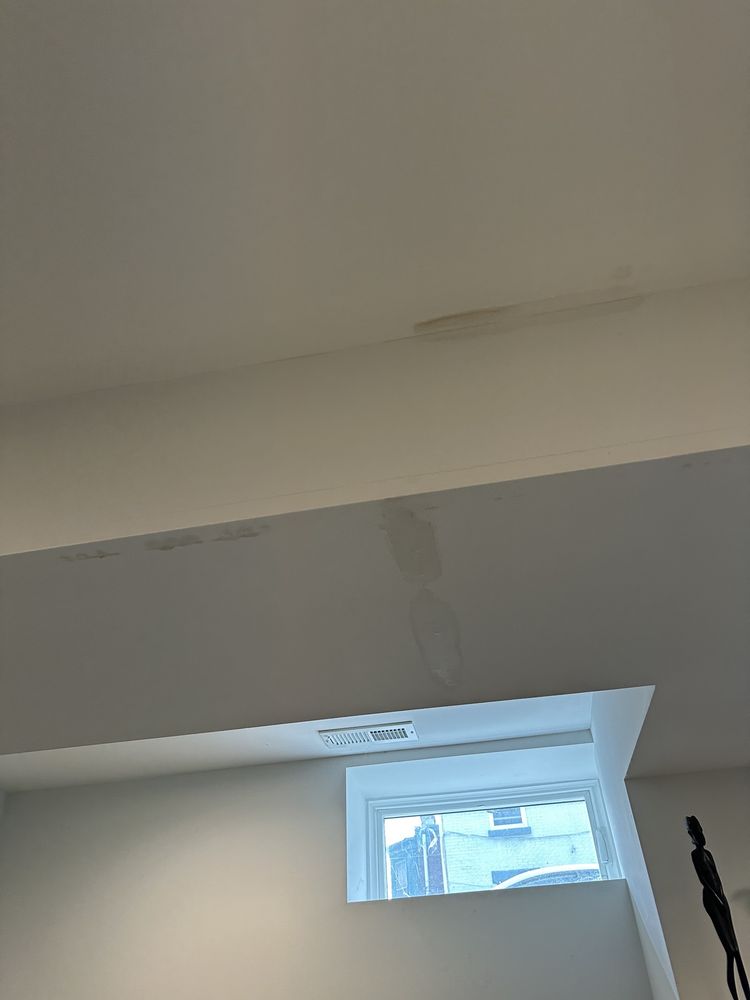 Str8 Flush Drain Cleaning