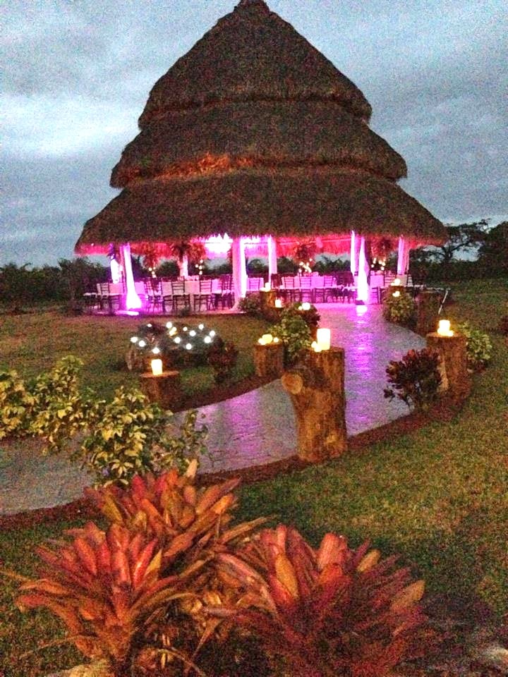 Photos for Longan’s Place - Yelp