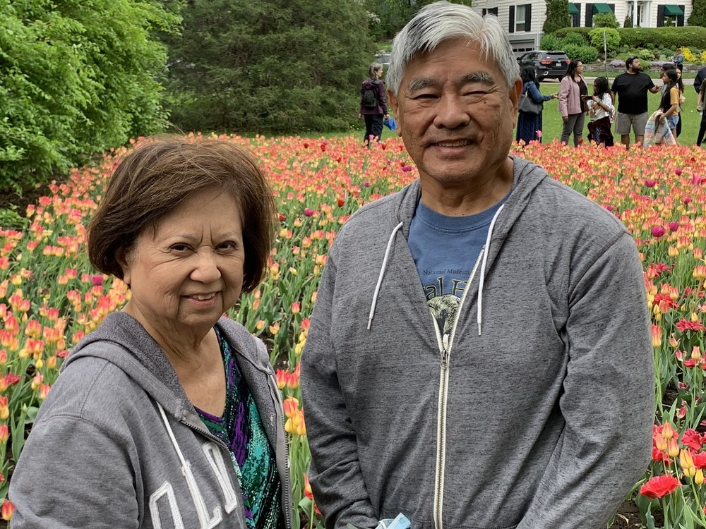Canadian Tulip Festival
