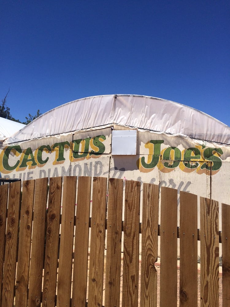 Cactus Joe’s Blue Diamond Nursery 129 Photos & 30 Reviews Nurseries