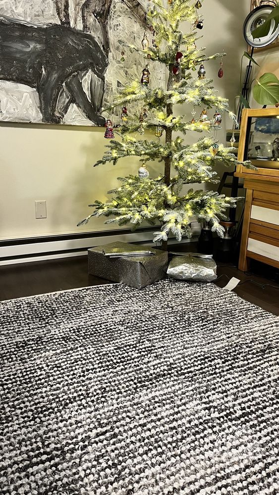 Fuzzy Wuzzy Rug Cleaning Company