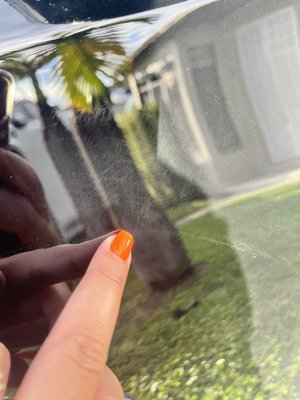 Designer Collision of South Miami