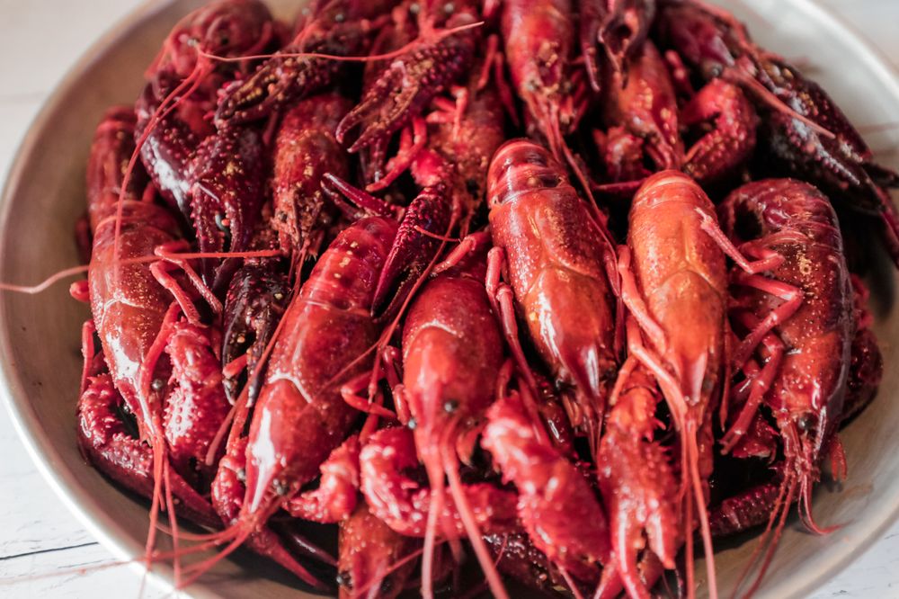 Hook & Reel Cajun Seafood & Bar