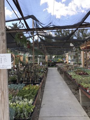 Lincoln Avenue Nursery 804 Ave Pasadena Ca Nurseries Mapquest
