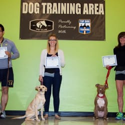 dog boarding and training dog boarding and training
