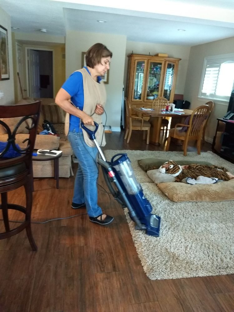 Arguelles Housecleaning