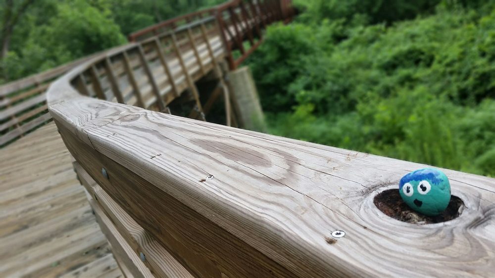 Woofstock Park 82 Photos & 30 Reviews Dog Parks 150 Dupree Rd