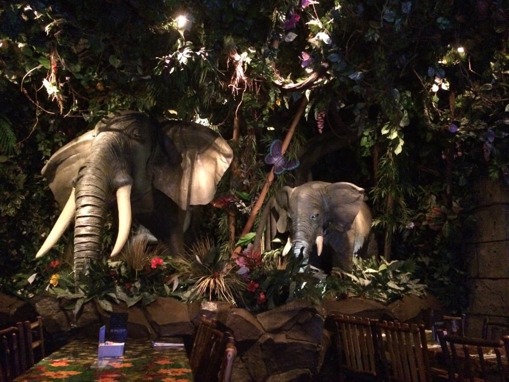 Rainforest Cafe Edison Reservations Rainforest Cafe Edison Reservations