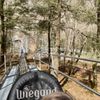 Wilderness Run Alpine Coaster gift card