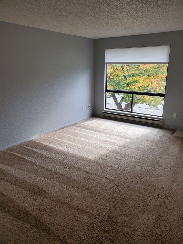 Legacy Services Carpet Cleaning