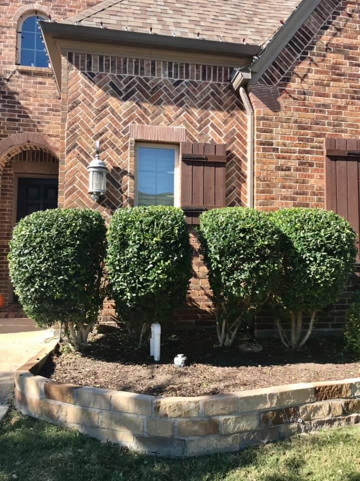 Nortex Tree Service