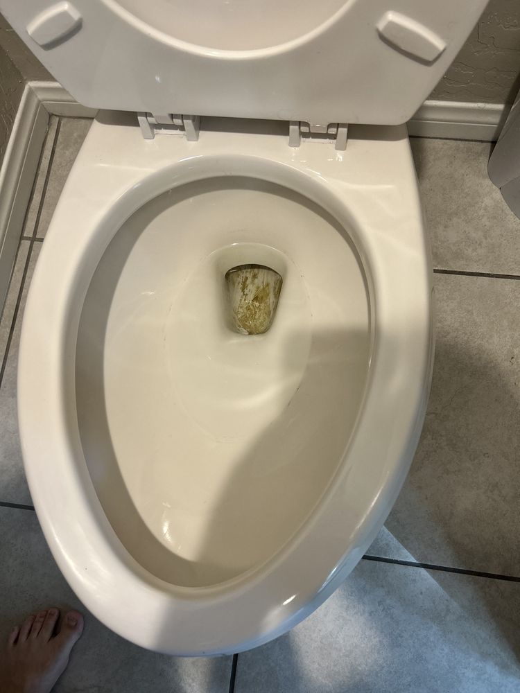 Gigas