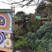 Ploughshares Nursery 39 Photos 45 Reviews Nurseries Photo Of Ploughshares Nursery Alameda Ca United States