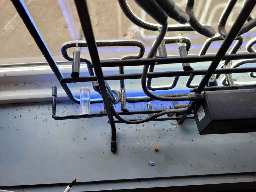 Corvette Grille and Bar