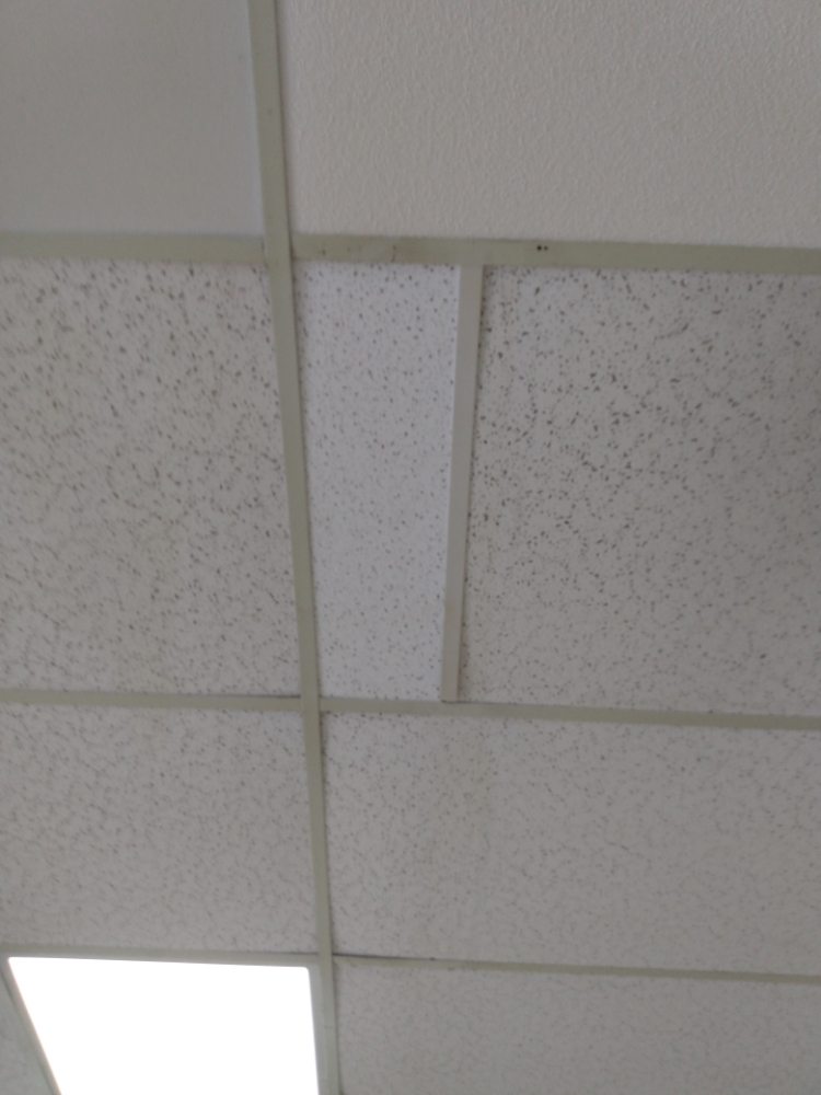 Phil's handyman Service