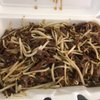 Korean BBQ Restaurant