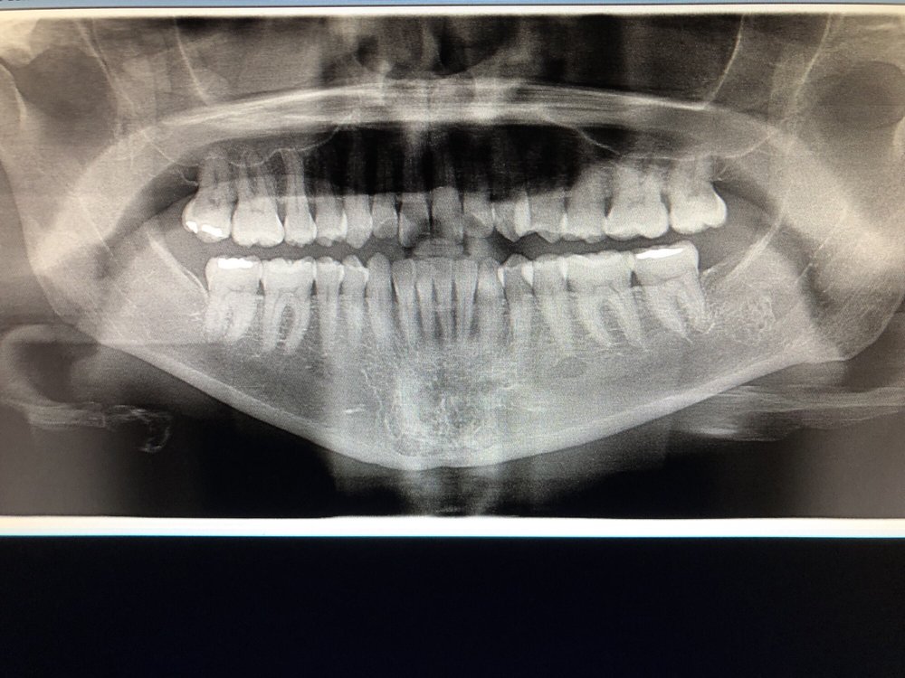 image of business Schaefer David A ,DDS